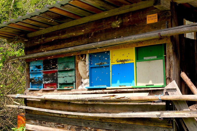 . – Bild: Marco Polo TV