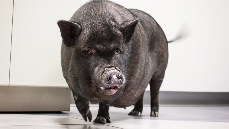 . – Bild: Warner Bros. Discovery