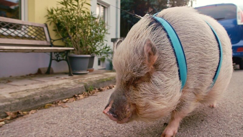 Bild: @Red Bull Media House/​ServusTV