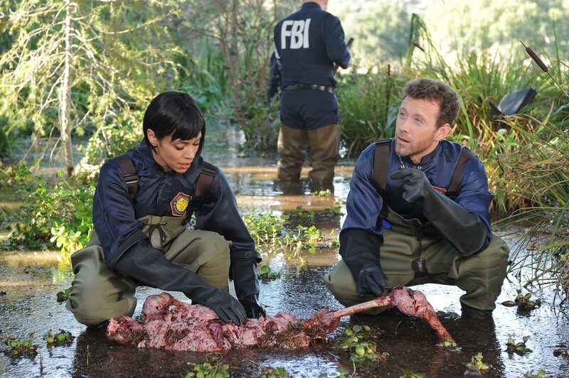 Unbekannt – Bild: Polsat