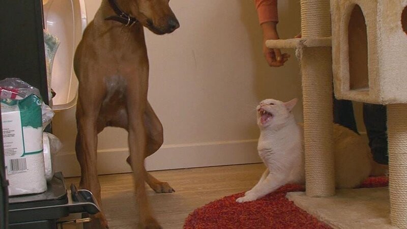 . – Bild: Warner Bros. Discovery