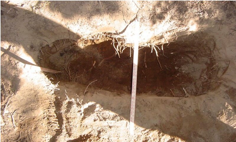 Bild: Peninsula Television 2023 /​ Crime + Investigation