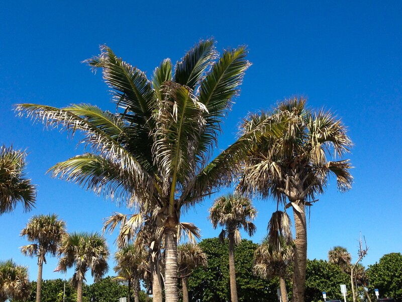 Bild: Discovery Communications, LLC