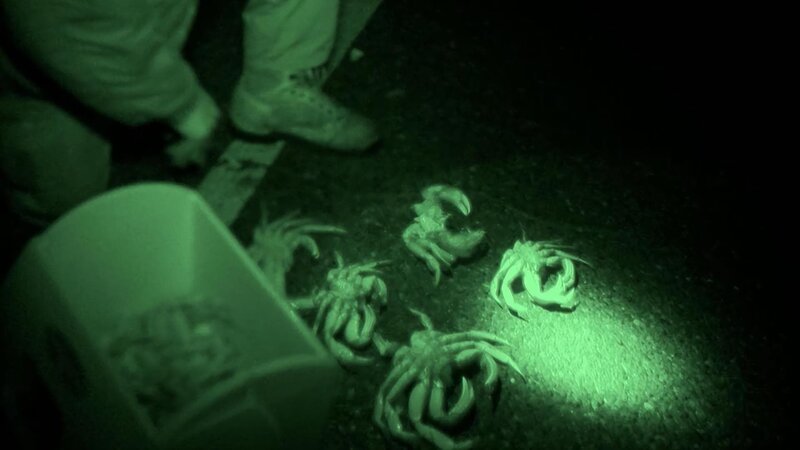 In the middle of the night, the experienced nature protection police officer caught three illegal shrimp fishermen. – Bild: Animal Planet