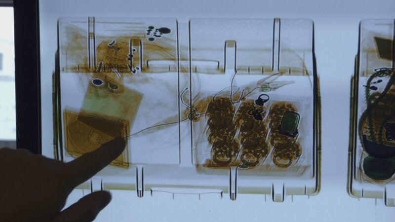 X-ray of the bag. – Bild: Discovery Channel – EMEA. /​ CINE NATURALEZA Y TELEVISION S.L /​ Discovery Communications