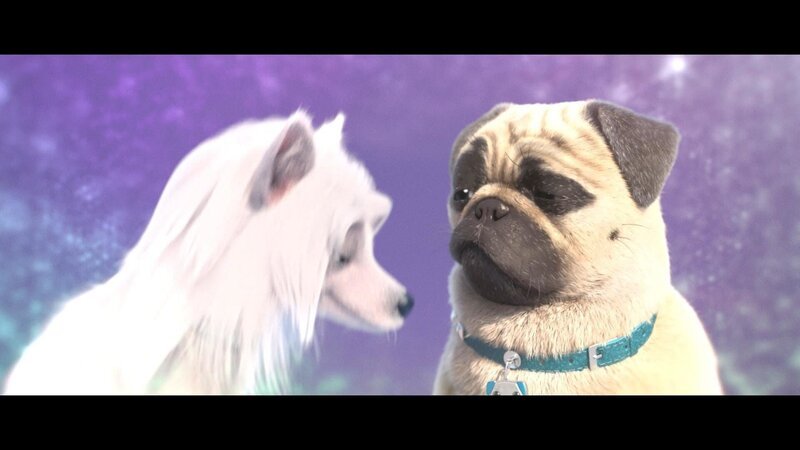 Bild: PLURIMEDIA (TeamTo)