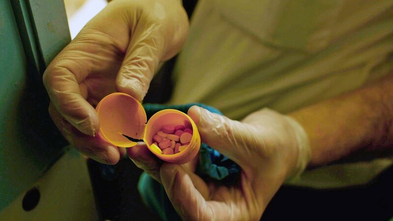 Bild: Blue Ant /​ WeltN24 GmbH