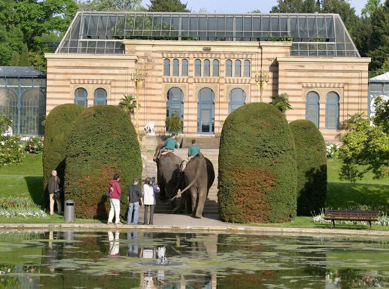 Bild: SWR/​Markus Bitterwolf