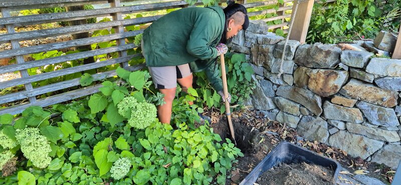 Bild: ORF/​Katja Batakovic/​Natur im Garten