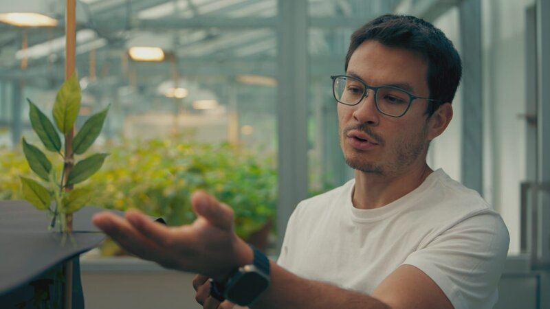Der Botaniker Felipe Yamashita vermutet, dass Pflanzen eine Art Sehvermögen haben. Was bedeutet das für unsere Vorstellung von der Seele? – Bild: ZDF und Larissa Eden