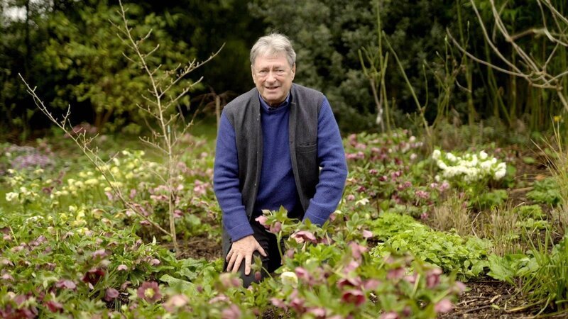 Bild: RTL /​ Spun Gold & All3Media International /​ Gartenvögel