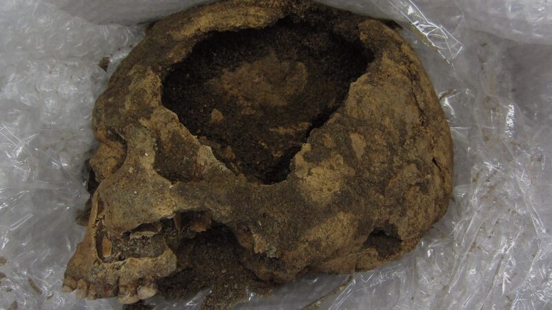 In Janakkala wurde ein Skelett gefunden. Beim Skelett befanden sich neben anderen Grabbeigaben ein Schwert aus dem Mittelalter und ein Wikingerschwert. – Bild: ZDF/​Jeremy Freeston