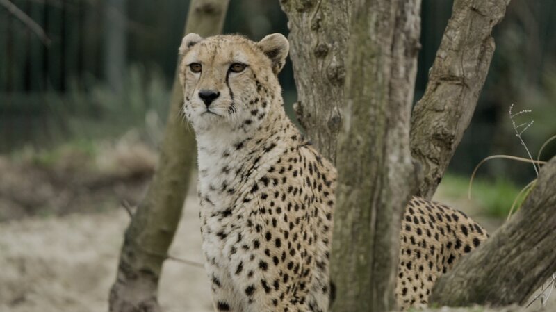 Bild: ServusTV /​ Bilderfest