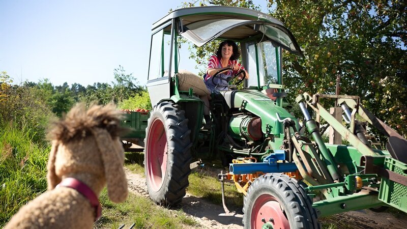 Drauflauf 2 – Bild: rbb/​ANDERTHALB Medienproduktion GmbH/​Matthias Bazyli