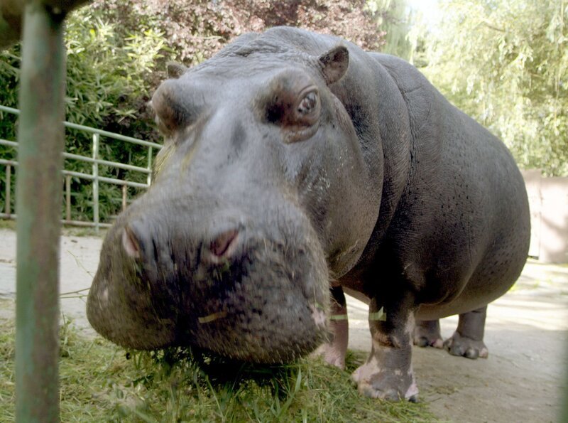 Bild: HR/​Petra Bruder