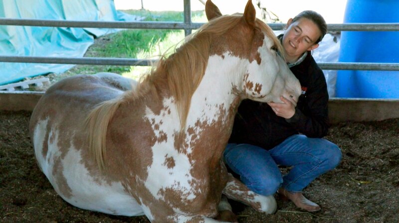 Silke Strussione aus Taunusstein pflegt und vermittelt Mustangs. – Bild: HR/​Andreas Graf