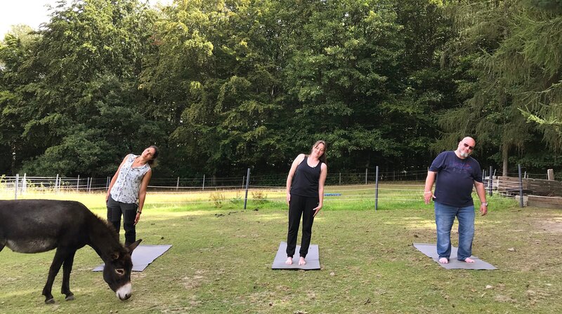 Eine besondere Erfahrung für den Wuppertaler Michael Pitsch. Therapeutin Sabrina Alexander hat ihn zum Esel-Yoga eingeladen. Von Links: Sabrina Alexander, Yoga-Lehrerin Christina Henke, Michael Pitsch – Bild: WDR/​Redseven Entertainment