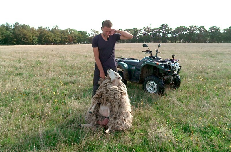 Bild: NDR/​Matthias Vogler