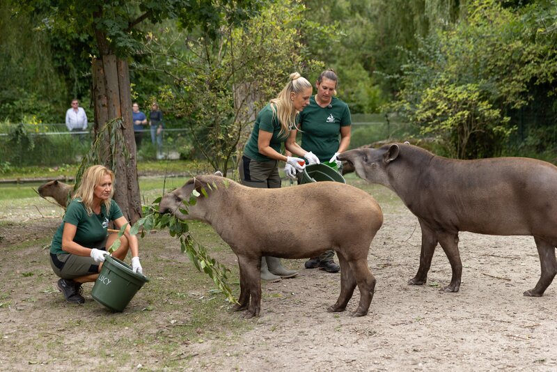 Angelika Niedetzky (l.) und Lilian Klebow (m.) mit Tierpflegerin Julia Mitterbauer und Tapiren im Zoo Schmiding. – Bild: ServusTV /​ PANAREA Studios /​ Roland Unger