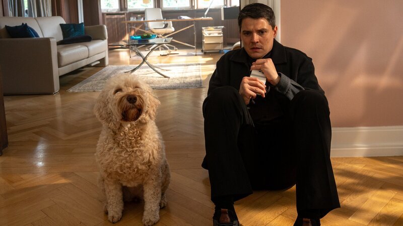 Als Kriminalkommissar Rico Sander (Benjamin Strecker) zu seiner Therapiestunde in die Praxisräume von Dr. Thomas Spring kommt, findet er diesen niedergestochen vor. Auch dessen Therapiehund Bonnie wirkt verstört. – Bild: ZDF und MARKUS_FENCHEL