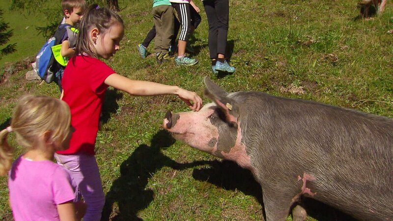 Obertilliacher Schülerinnen beim Almausflug. – Bild: ORF III Obertilliacher Schülerinnen beim Almausflug. – Bild: ORF III