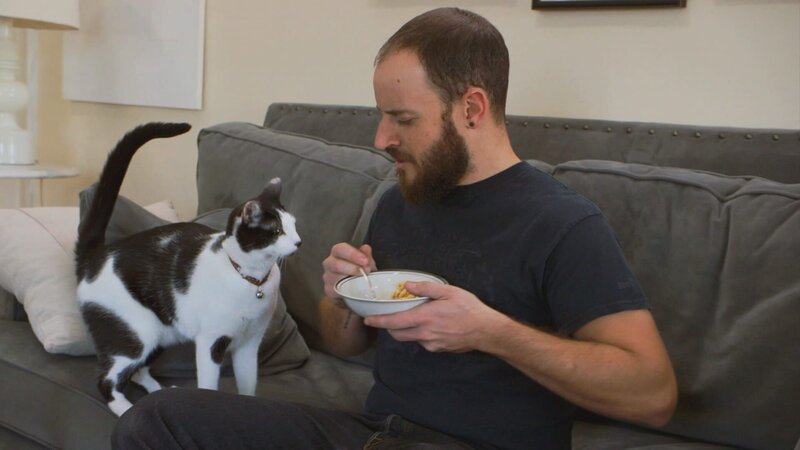 Cat trying to eat guardians food. – Bild: Discovery Communications