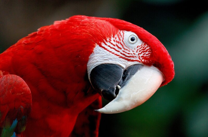 Bild: phoenix/​Arte/​Getty Images