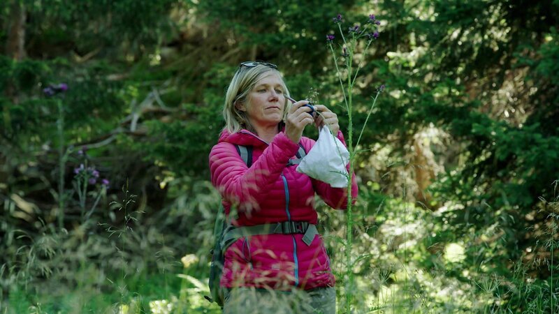 Frauen beim Blumenschneiden im Paznaun, im Ischgltal, in Kappl und Galtür – Bild: HIGH VIEW