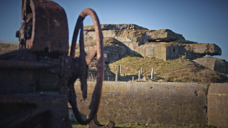 Bild: Go Button Media Lizenzbild frei