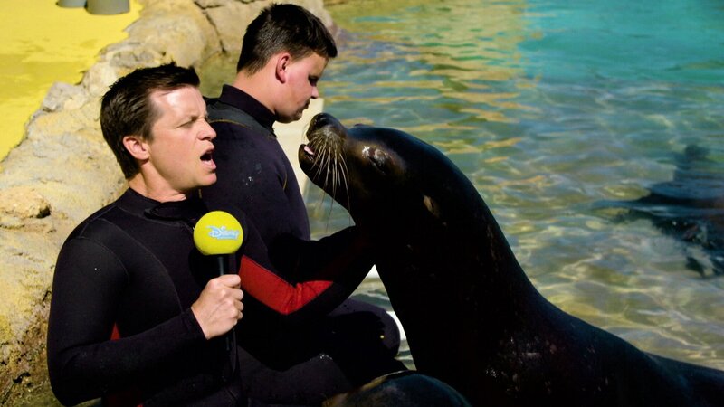 . – Bild: Courtesy of Disney+