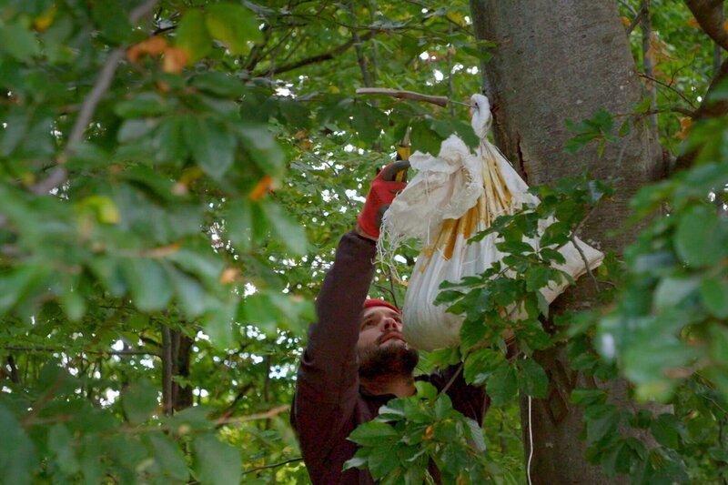 Bild: ORF/​Autentic GMBH/​DOCDAYS Productions /​ Sven Klöpper