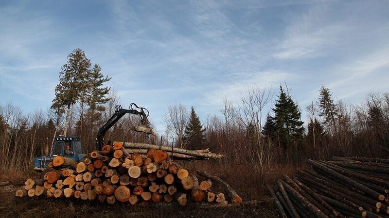 Loading Logs. – Bild: Discovery Communications