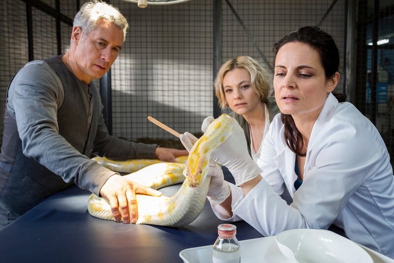 Tierärztin Dr. Mertens (Elisabeth Lanz, r.) untersucht den Python, der anscheinend im Zoo ausgesetzt wurde. Zoodirektor Dr. Blum (Ralph Herforth, l.) und Assistentin Annett (Anna Bertheau, M.) schauen fasziniert zu. – Bild: MDR/​ARD/​Steffen Junghans