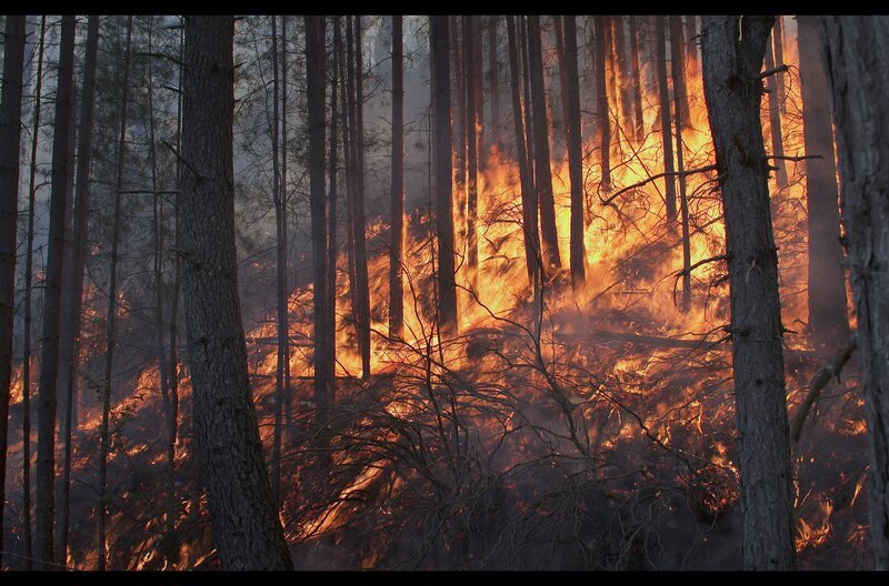 Die Forstfeuerwehr auf Korsika will die verheerenden Waldbrände durch gezielt gelegte Feuer verhindern. – Bild: Medienkontor/​Jean Froment