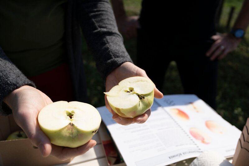 Bild: ServusTV /​ Terra Mater Studios