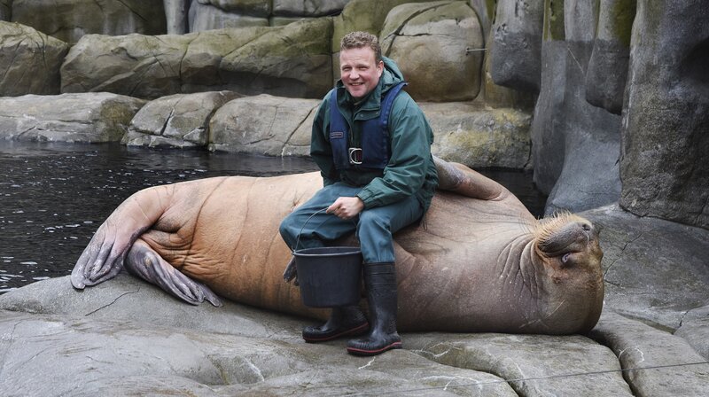 Dirk Stutzki und Raisa warten auf den Walrossbullen Odin. – Bild: PLURIMEDIA (NDR /​ Doclights GmbH)