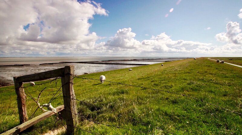 Bild: NDR/​Veit Bentlage