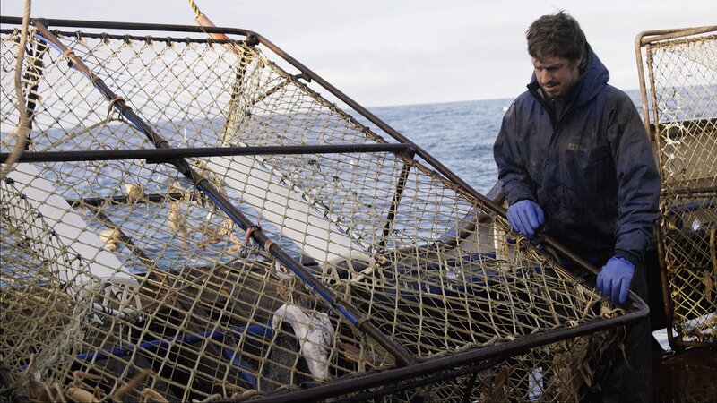 Bild: Discovery Communications, LLC