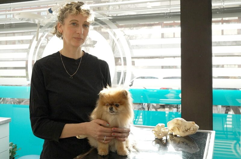 Die Landestierschutzbeauftragte Mariana Peer will über Qualzuchten bei Haustieren aufklären – Bild: SWR Die Landestierschutzbeauftragte Mariana Peer will über Qualzuchten bei Haustieren aufklären – Bild: SWR