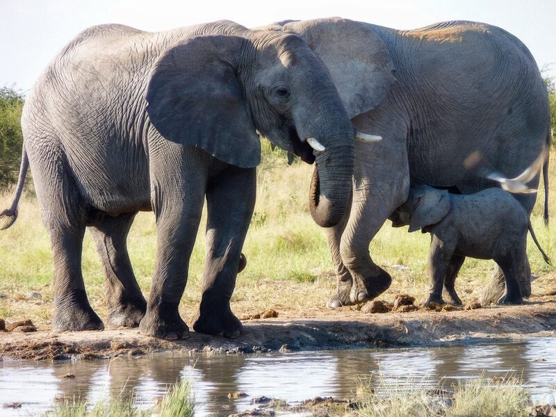 Bild: ORF/​Ampersand