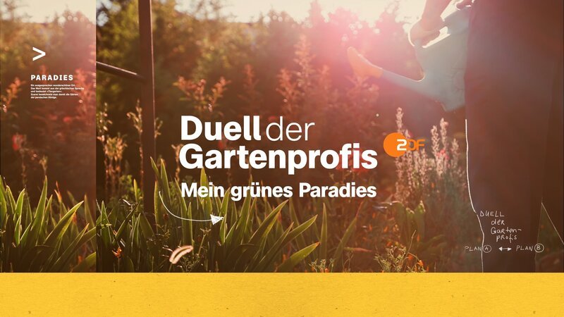Bild: ZDF und Vielfein
