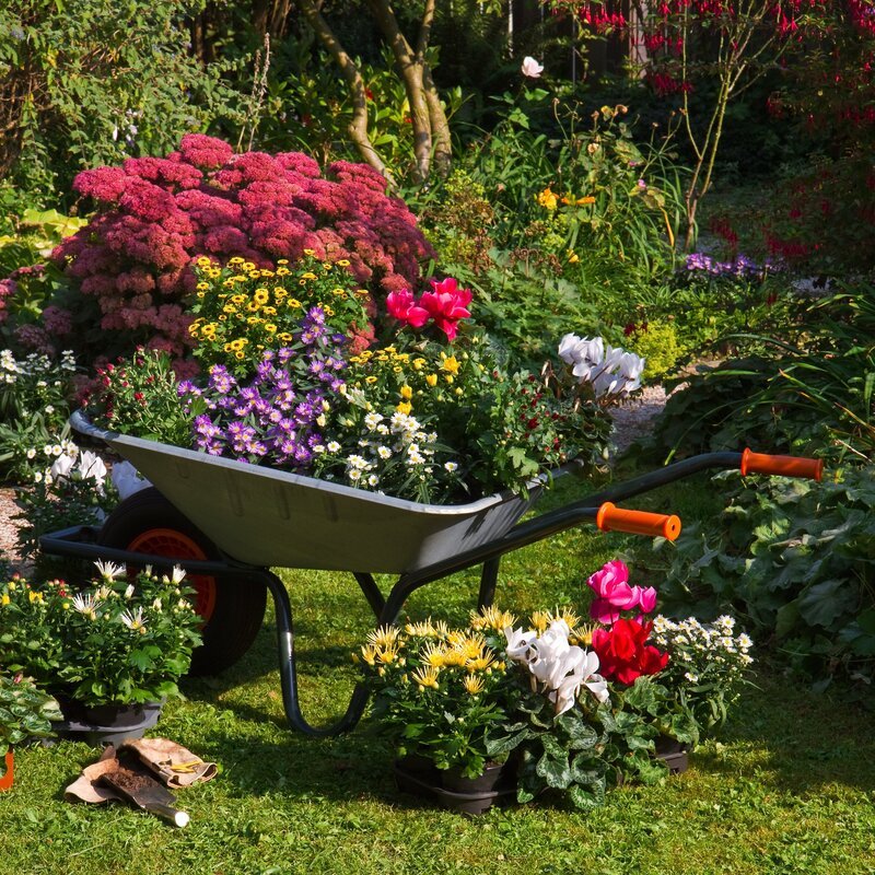 Graden, Flowers. – Bild: Public Domain