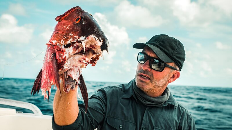 Bild: Licensed by Banijay Rights Limited Lizenzbild frei