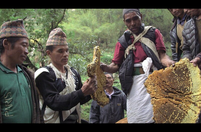 Das Ergebnis der Honigjagd ist für die ganze Gruppe eine Enttäuschung: Zwar hat Lal Bahadur es geschafft, die Wabe abzulösen und über die Klippe zu befördern, doch haben die Bienen dieses Jahr keinen Honig produziert. – Bild: Grand Angle Productions