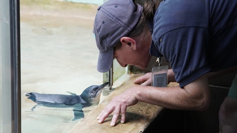 Bild: Discovery Communications