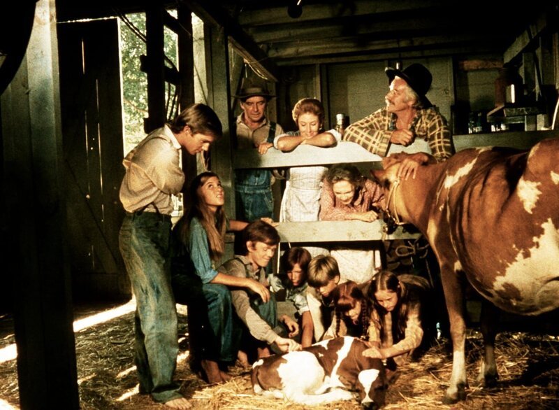 Ein Kälbchen lässt die Herzen der Waltons-Kinder höher schlagen. Doch für Vater John bedeutet der Neuzuwachs nur zusätzliche Ausgaben … – Bild: WARNER BROS. INTERNATIONAL TELEVISION Lizenzbild frei