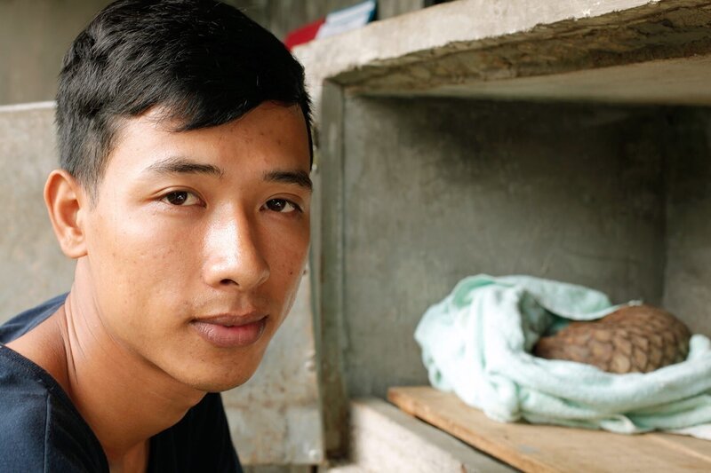 Tierpfleger Tran Van Truong vom Schuppentieraufnahmezentrum Save Vietnam’s Wildlife im Nationalpark Cuc Phuong. – Bild: PLURIMEDIA (MedienKontor /​ Therese Engels)