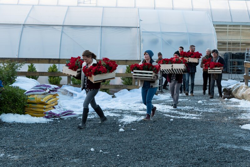 Zurück zu den Weihnachtssternen – Bild: Luba Popovic /​ BETAFILM