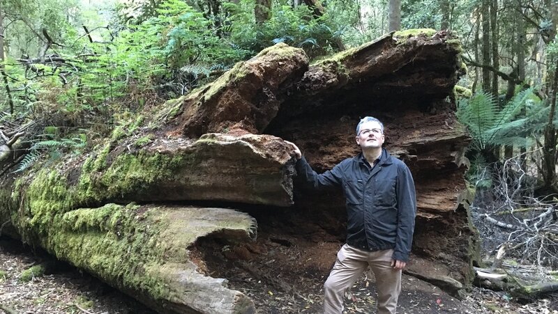 Sir Christopher Clark im australischen Regenwald. – Bild: ZDF und Gero von Boehm