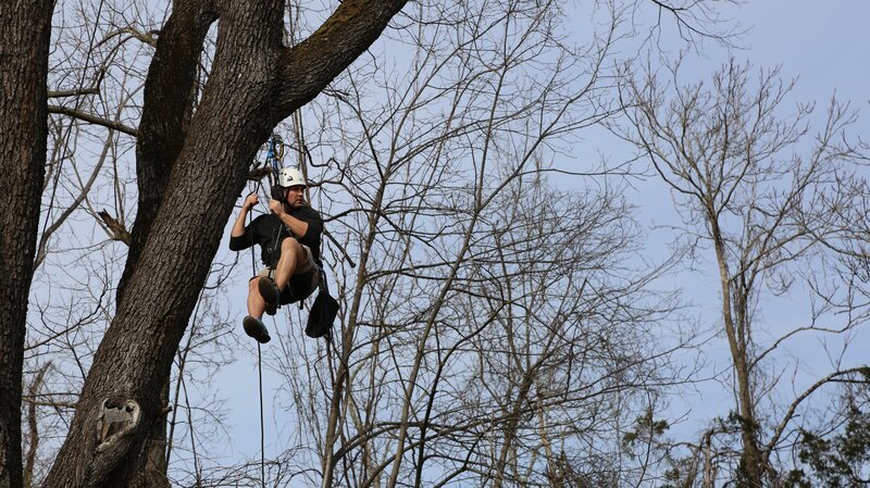 Bild: Discovery Communications